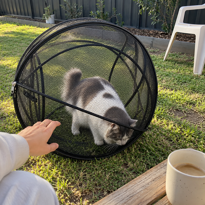 Catventure Pop-Up Portable Catio