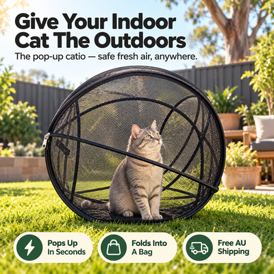 Catventure Pop-Up Portable Catio