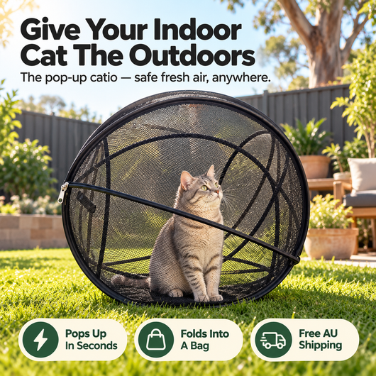Catventure Pop-Up Portable Catio